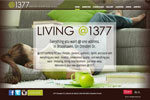 @1377 Apartment Website Design